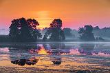 Misty Sunrise_24510